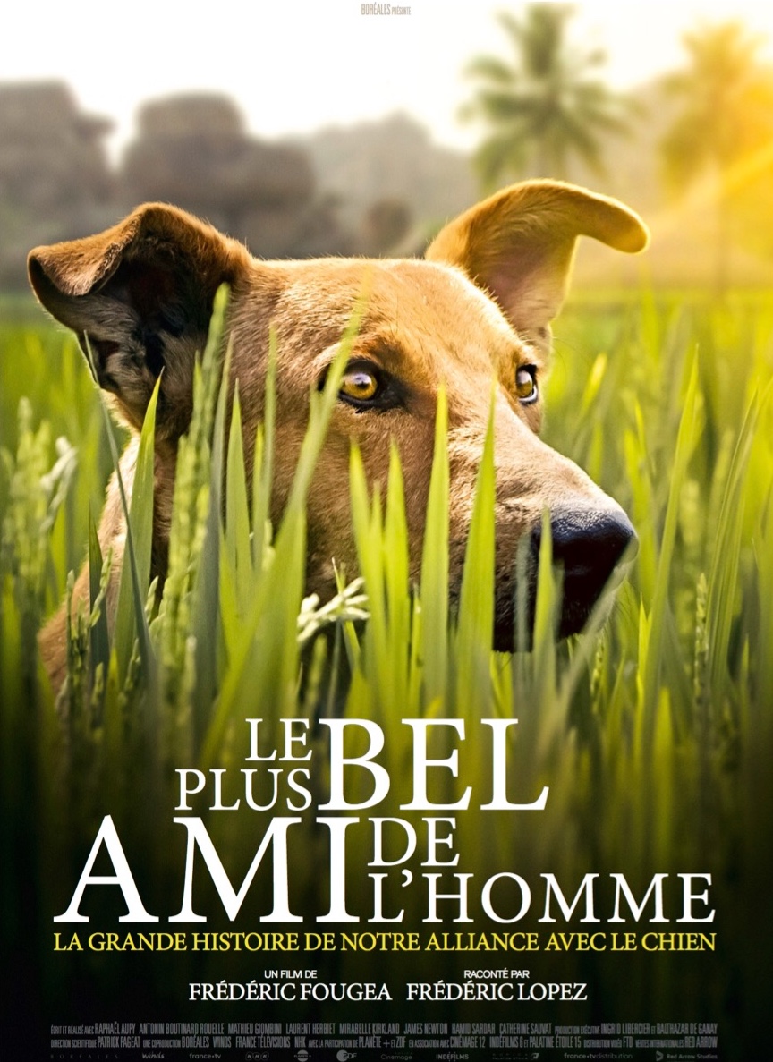Le plus bel ami de l'homme Cinémage